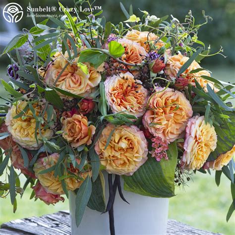 Vibrant Bouquet Collection – Heirloom Roses