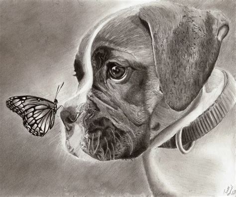 10 Lovely Dog Drawings for Inspiration - Hative