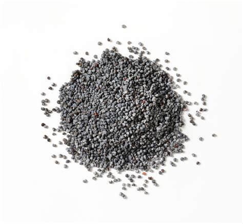 Poppy Seeds - Greenline Distributors