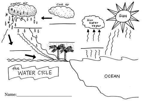 Diagram of the Water Cycle Fill In | Diagram Link | Water cycle worksheet, Water cycle, Science ...