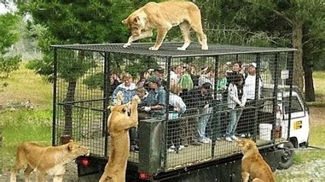 10 MOST STUNNING ZOOS IN THE WORLD - YouTube