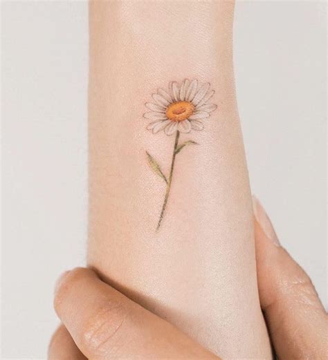 Daisy Flower Tattoo | Best Flower Site