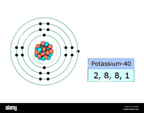 Potassium Atom Structure