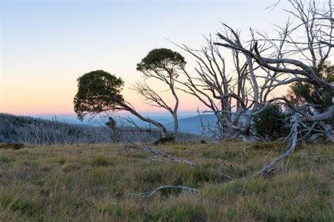 Victorian Alps - Australian Photography