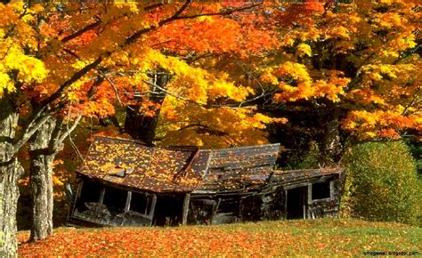 Autumn Farm Scene Wallpapers - Wallpaper Cave