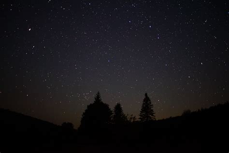 File:Night-sky-stars-forest-trees - West Virginia - ForestWander.jpg