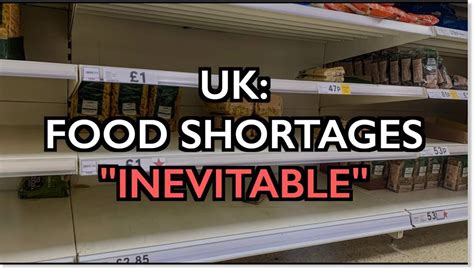 Ice Age Farmer Report: UK Food Shortages 'Inevitable' - "The real food crisis for food supplies ...