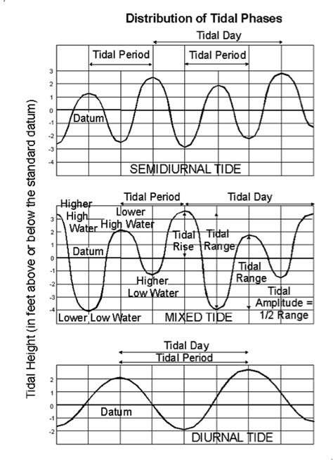 Tidal cycles