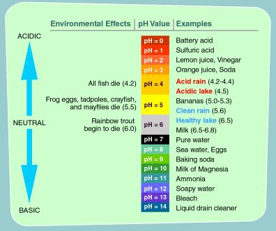 Acid Rain Students Site: PH Scale