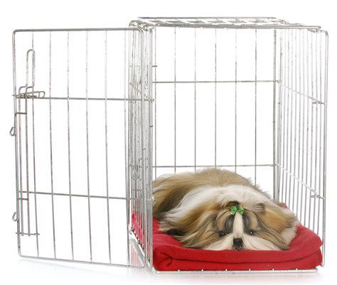 Best Dog Crate Covers - The Best Ways To Make Your Dog's Den Snug