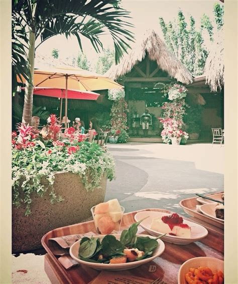 Discovery Cove Food – A Guide