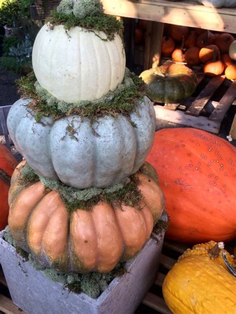 Decorating For Fall With Pumpkins And Gourds | Oak Street Garden Shop and Local Market