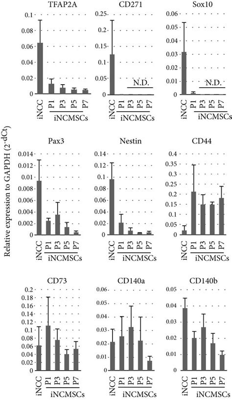 Neural crest markers and mesenchymal stem cell markers. (a) FACS ...