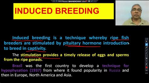 INDUCED BREEDING IN FISH - YouTube