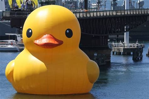 This giant rubber duck : ReviewsOfAnything