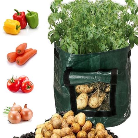 Vegetable Grow Bags 7 & 10 Gal Green | Amazing Garden