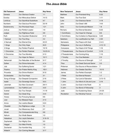 The Jesus Bible Review | conversant faith