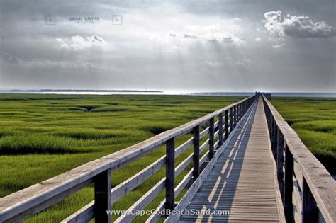 Grays Beach - Yarmouth Beach