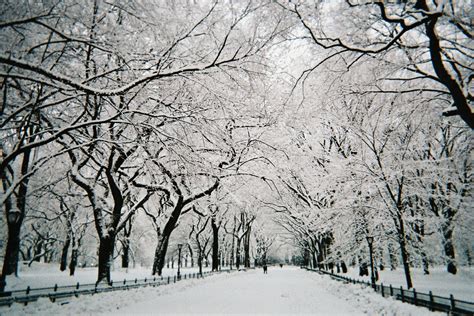 🔥 [50+] Central Park Winter Wallpapers | WallpaperSafari