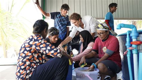 From larvae to livelihoods: restoring coral reefs in the Maldives – CSIROscope