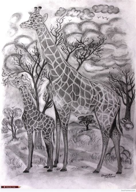 Pencil Sketch Of Giraffe And It’s Baby In The Jungle - Desi Painters