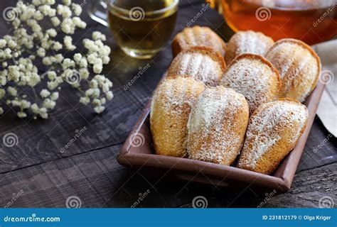 Madeleine cookies stock image. Image of powdered, snack - 231812179