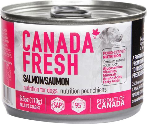 10 Best Fresh Salmon Dog Food Products - A Buying Guide for Your Pet's Health and Wellness ...