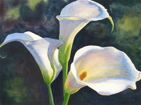 Calla Lilies Watercolor Painting Print by Cathy Hillegas - Etsy