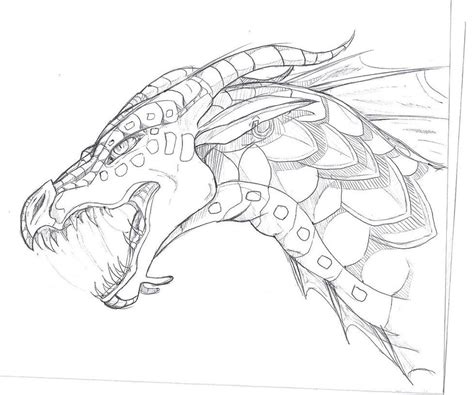 Dragon Claw Drawing at GetDrawings | Free download