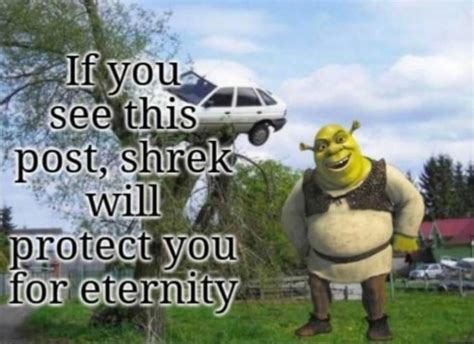 Shrek Memes Have Layers Like An Onion - Shrek | Memes