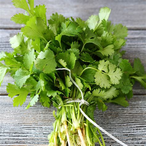 Organic Cilantro/Coriander Seeds - Long Standing | Herb Seeds in Packets & Bulk | Eden Brothers