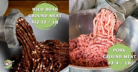 Wild Boar Meat Vs Domestic Pork - OutdoorsChef