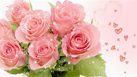 Pretty Pink Roses - Roses Wallpaper (34610956) - Fanpop