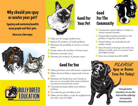 Bully Breed Education