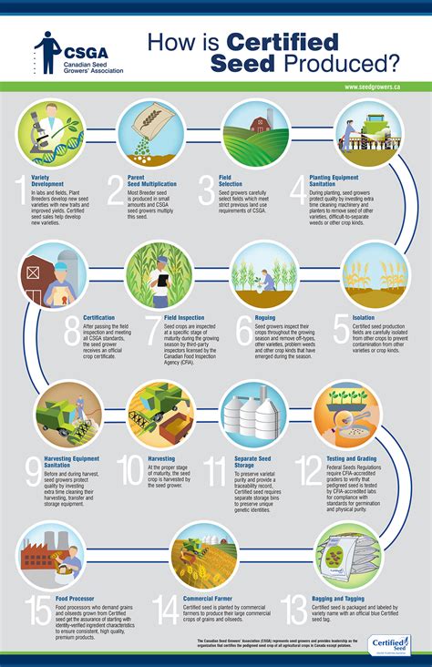 How_Is_Seed_Produced_Flowchart_EN - Canadian Seed Growers' Association