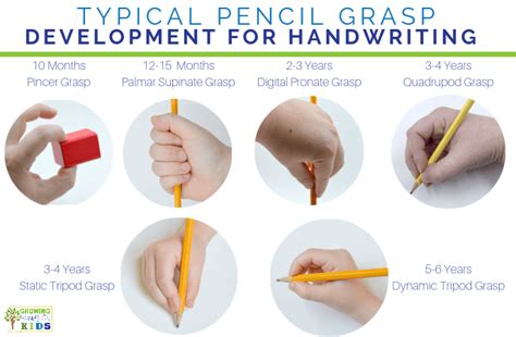 typical-pencil-grasp-development-for-handwriting-collage - Growing Hands-On Kids