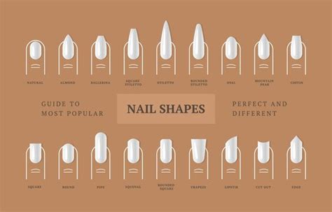 "Nail Shapes" Images – Browse 152 Stock Photos, Vectors, and Video | Adobe Stock