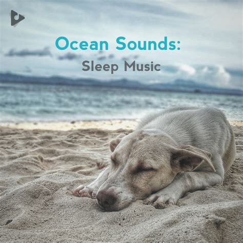 Ocean Sounds: Sleep Music Playlist | Lullify