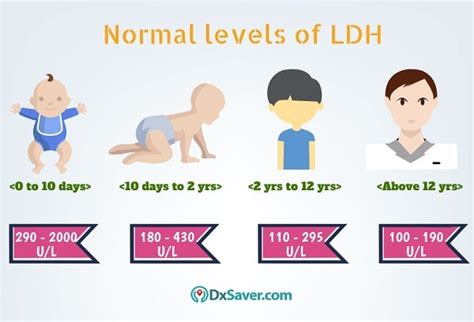 Get Lowest Lactate Dehydrogenase, LDH Test Cost at $47 | Book Online Now – DxSaver.com