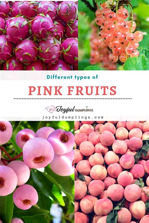 24 Pink Fruits Around The World » Joyful Dumplings