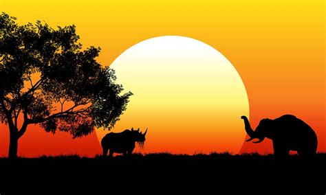 African Safari Scene at Sunset