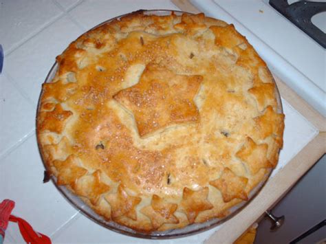 Never Fail Pie Crust Recipe - Food.com