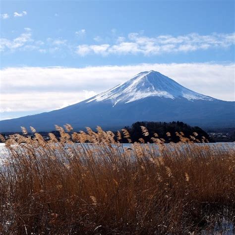 THE 15 BEST Things to Do in Yamanashi Prefecture - 2022 (with Photos ...