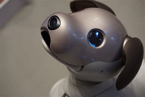 Sony's New Aibo Robot Dog Is Nearly $3,000, But It Can Tell How You're Feeling