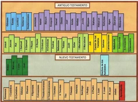 ¿Cuántos libros tiene la Biblia? - Como Funciona Que