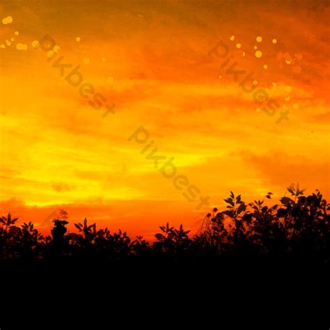 Sunset Silhouette Orange And Black Trees | PSD Free Download - Pikbest