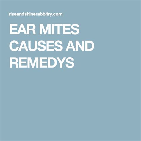 EAR MITES CAUSES AND REMEDYS | Mites, Ear, Infestations