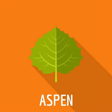 Premium Vector | Aspen leaf icon flat illustration of aspen leaf vector ...