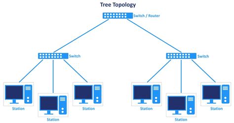 Network Topology Types: Complete Overview