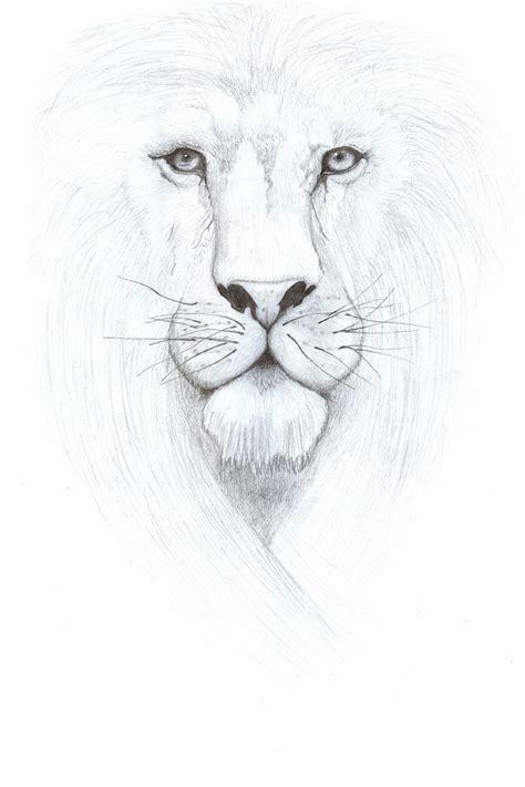 Aslan, King of Narnia by west-fall- on DeviantArt